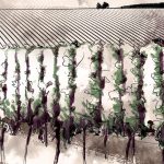 Vinexpo Explorer