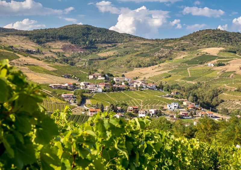 vinexpo-explorer-chapter3-toggle01