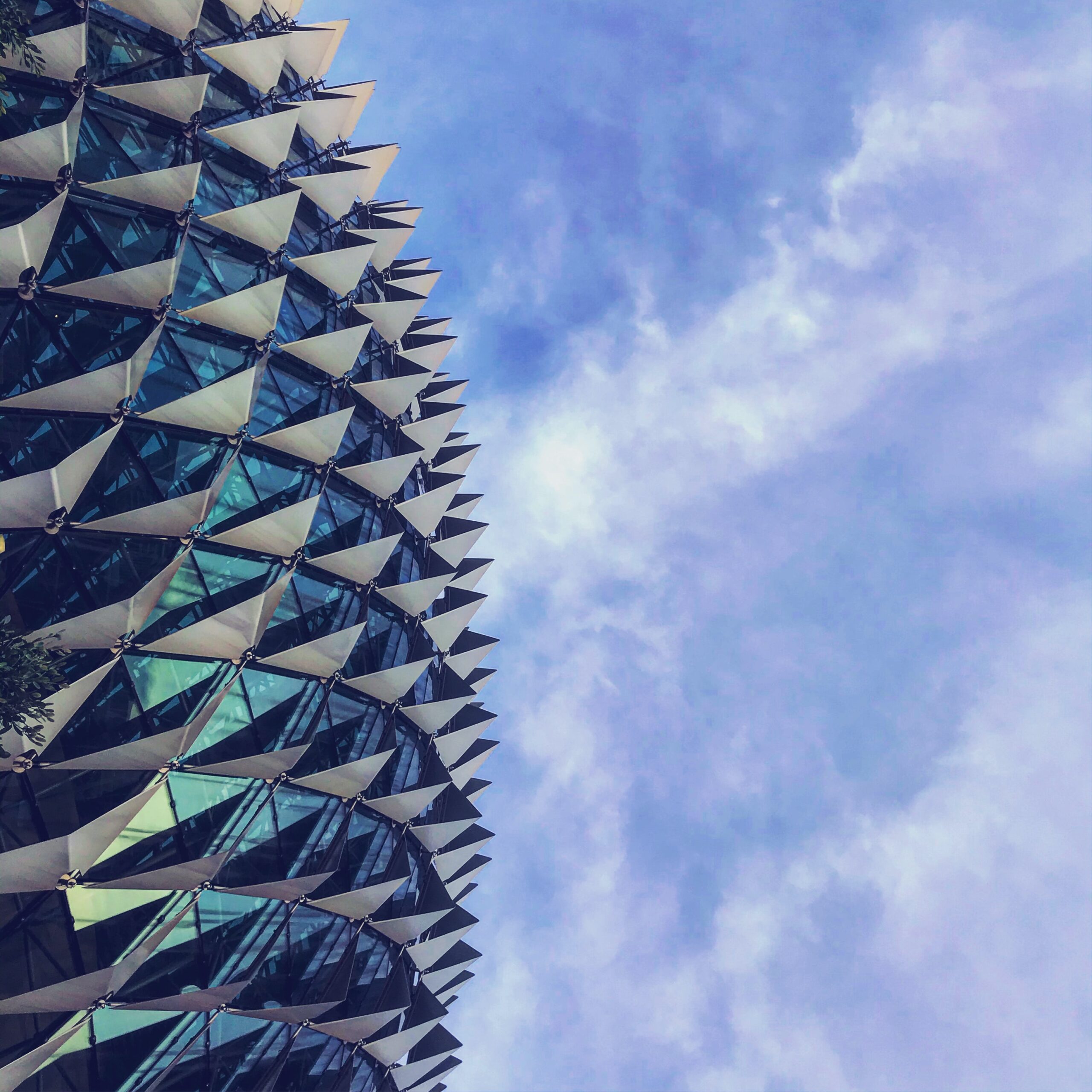 mamunur-rashid-6Q6-77tg58M-unsplash