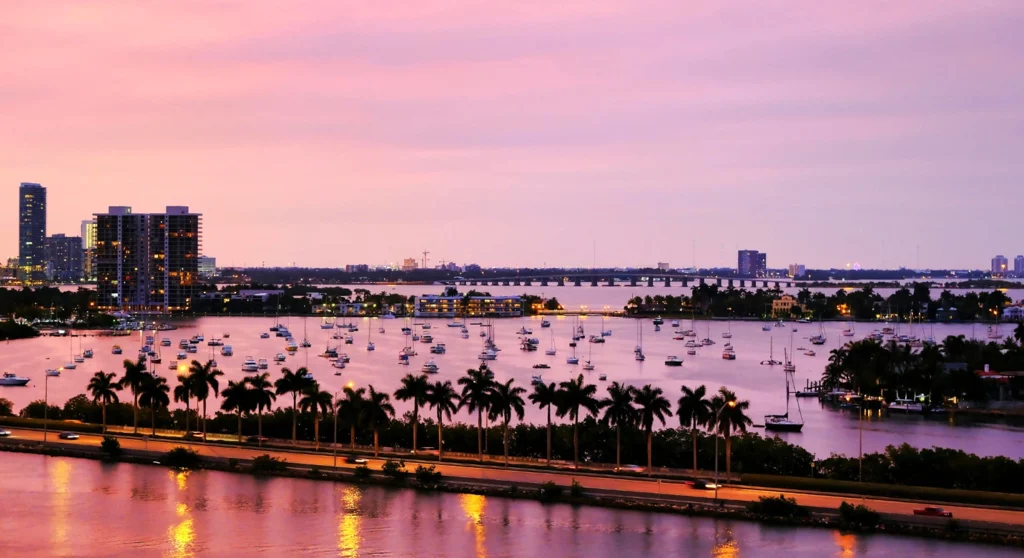 city of Florida with palms and sea