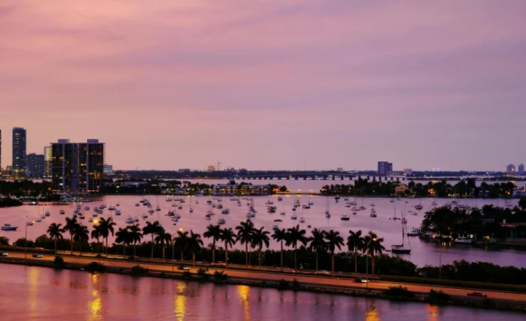 Landscape with trees, seas of Miami during sundown