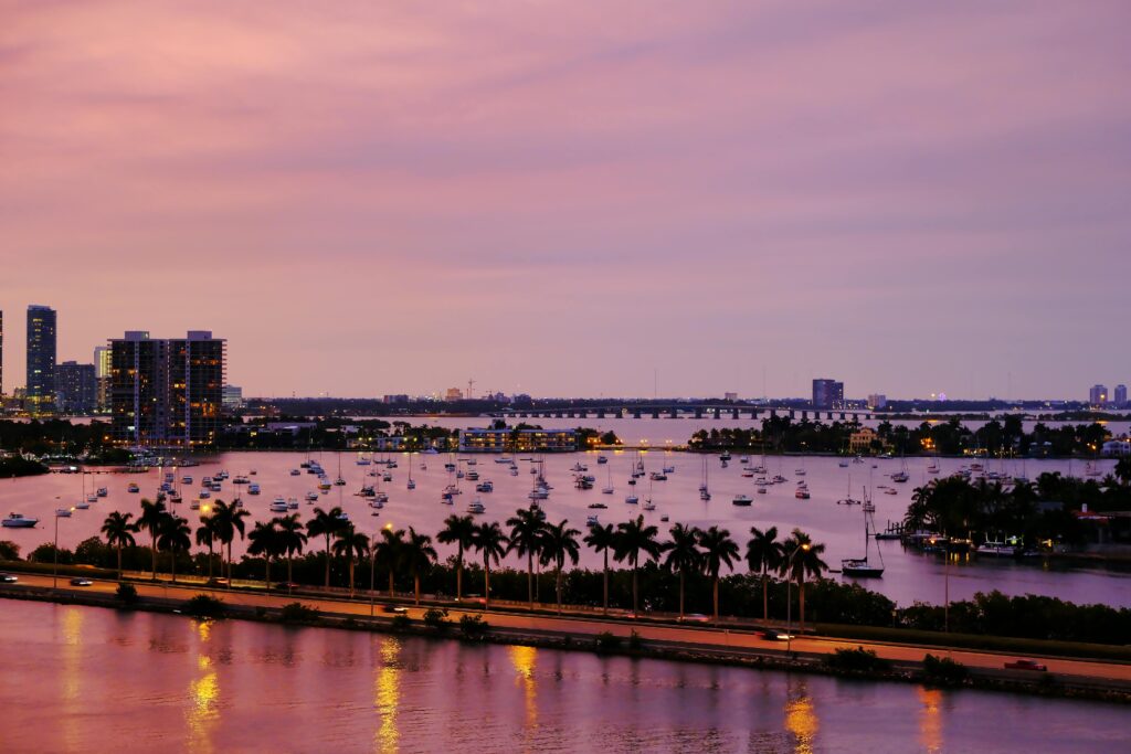 Twilight with rivers and cars driving in a toll in the middle with palms.