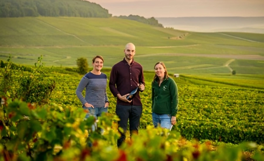 3 personnes du Domaine De Sousa au mileu de leur vignoble. 1 homme et deux femmes.