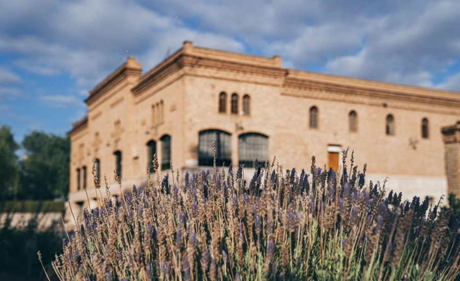 ©Tapiche Winery