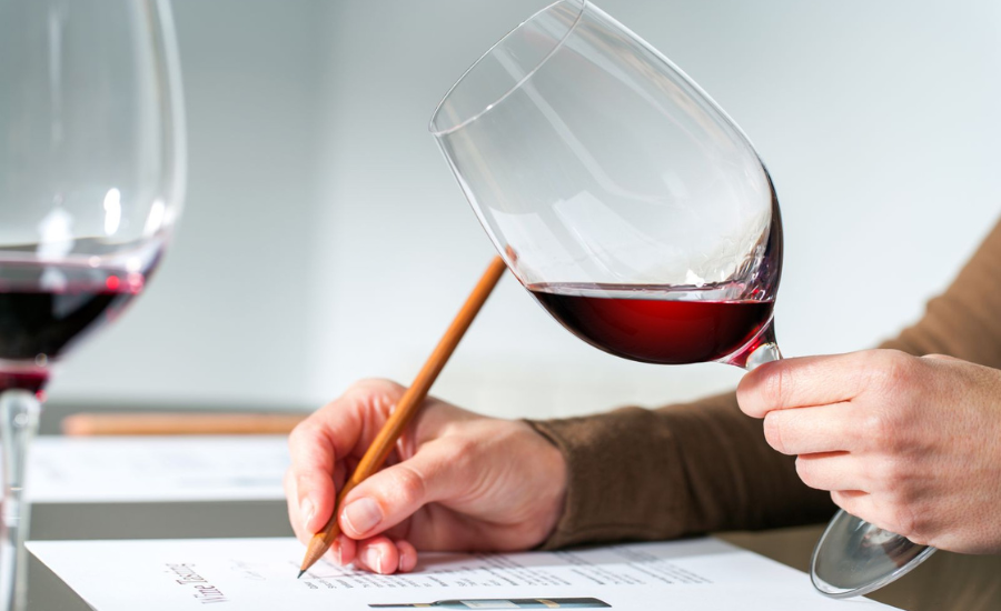 notation de vin lors d'une dégustation