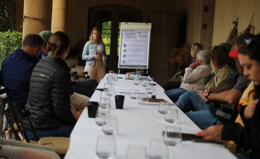 réunion lors d'un séminaire de travail entre vignerons