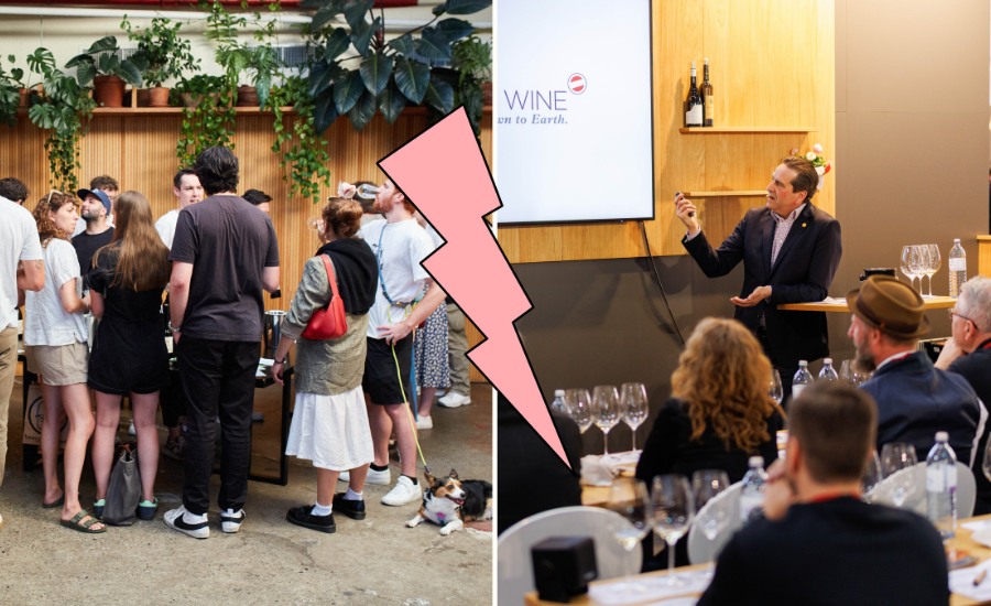 comparaison d'un groupe de personnes savourant des vins vs une masterclass professionnelle commentant les vins