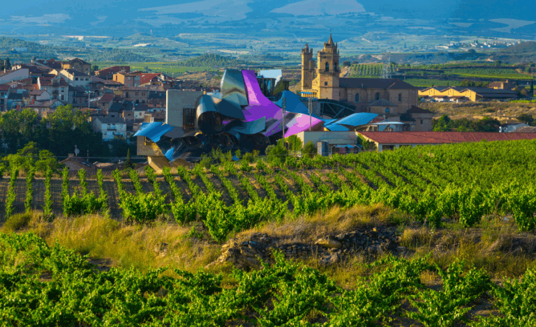 paysage de vigne avec une vue lointaine sur un village et son église