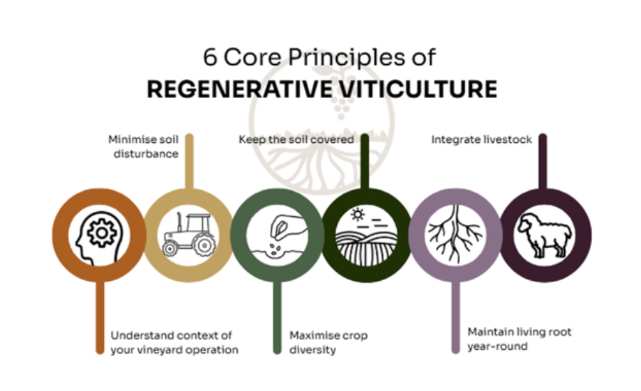 6 core principles of regenerative viticulture