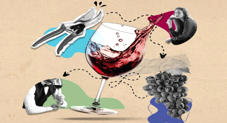 Verre de vin lié à du raisin, à une personne qui boit du vin, à des sécateurs et à un serveur de restaurant