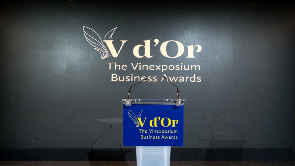 La Nuit des V d'Or_1024x576 La Nuit des V d'Or_1024x576