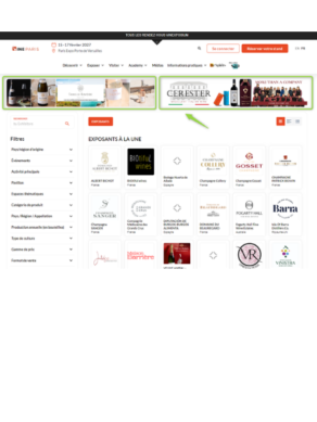 Wine paris website showing the banner location