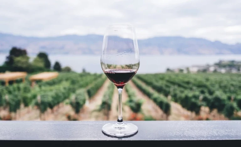 Glass of wine in front of a vineyard