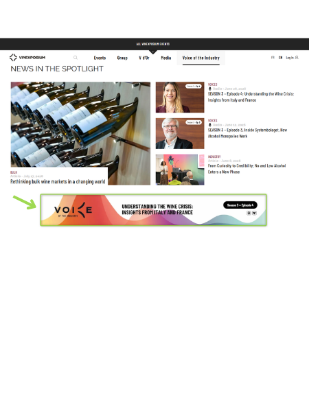 Website with the banner of Voice