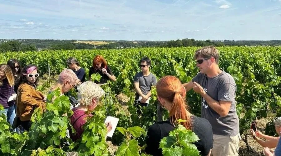 Groupe de visite au coeur des vignes