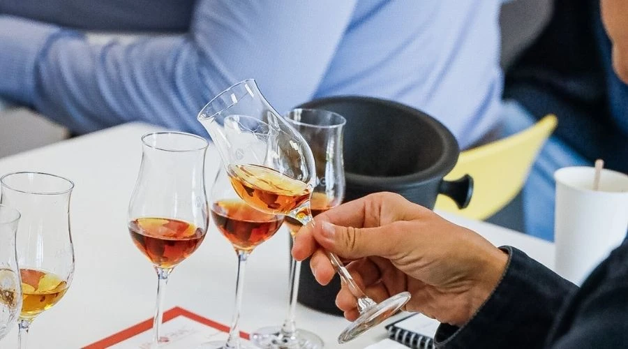 dégustation et analyse d'un vin tranquille