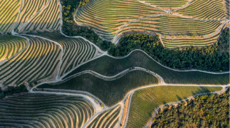 landscape view from the sky